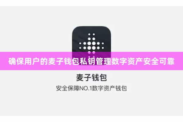 确保用户的麦子钱包私钥管理数字资产安全可靠