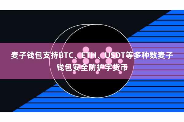 麦子钱包支持BTC、ETH、USDT等多种数麦子钱包安全防护字货币