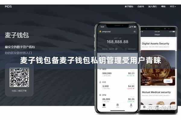 麦子钱包备麦子钱包私钥管理受用户青睐
