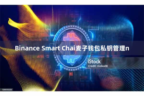 Binance Smart Chai麦子钱包私钥管理n