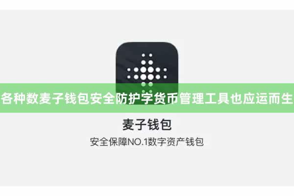 各种数麦子钱包安全防护字货币管理工具也应运而生