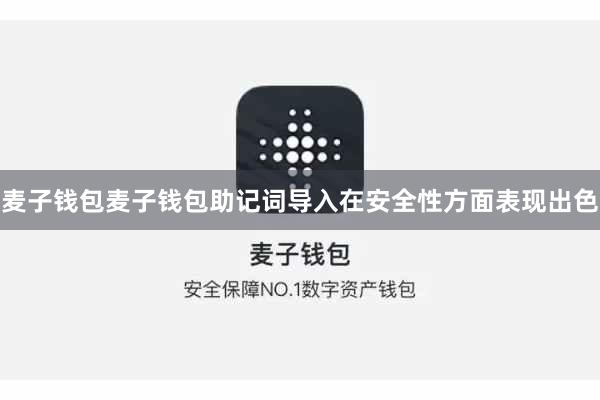 麦子钱包麦子钱包助记词导入在安全性方面表现出色