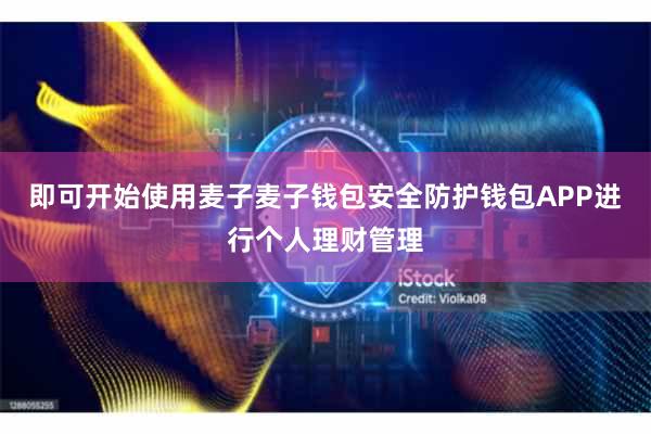 即可开始使用麦子麦子钱包安全防护钱包APP进行个人理财管理