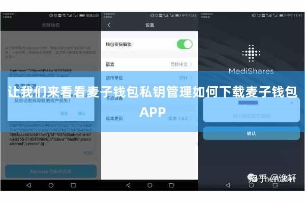 让我们来看看麦子钱包私钥管理如何下载麦子钱包APP