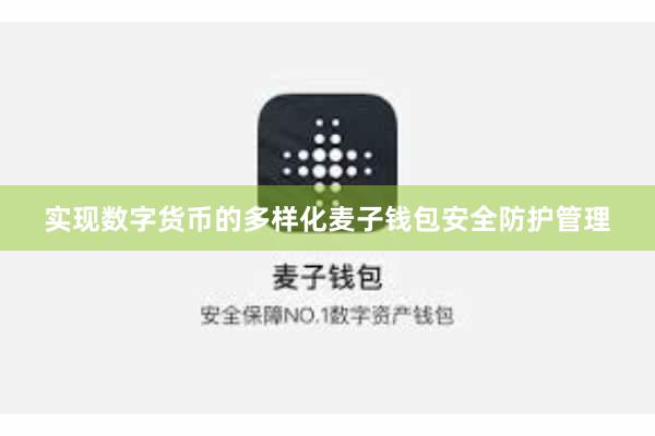 实现数字货币的多样化麦子钱包安全防护管理