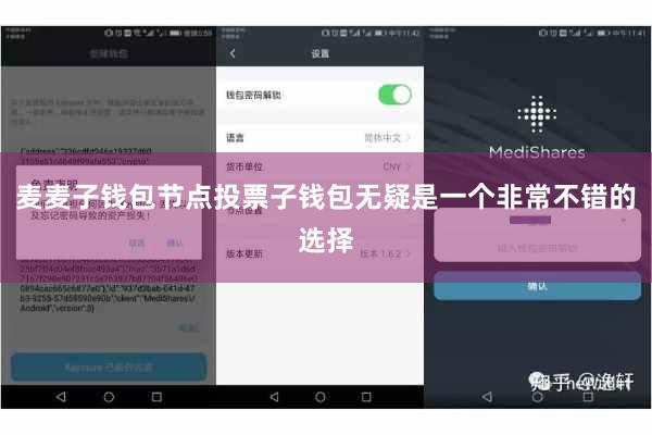 麦麦子钱包节点投票子钱包无疑是一个非常不错的选择
