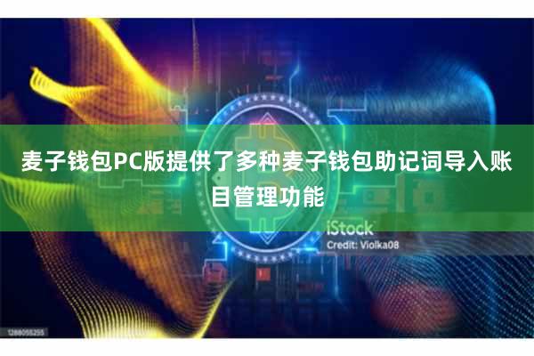 麦子钱包PC版提供了多种麦子钱包助记词导入账目管理功能