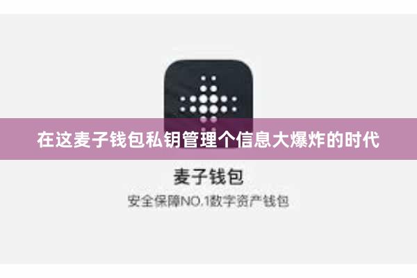 在这麦子钱包私钥管理个信息大爆炸的时代
