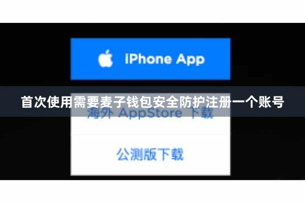 首次使用需要麦子钱包安全防护注册一个账号