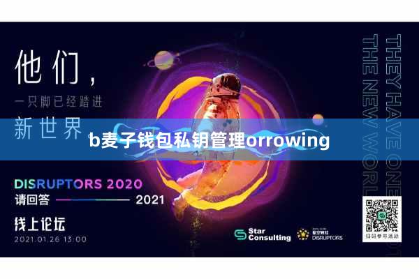 b麦子钱包私钥管理orrowing