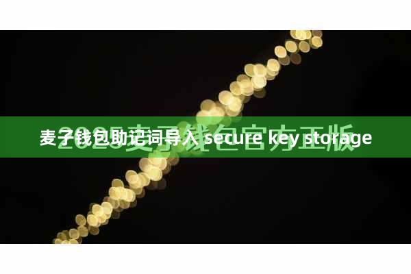 麦子钱包助记词导入 secure key storage