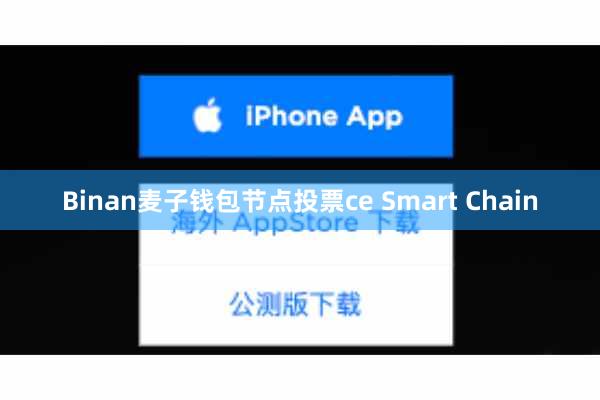 Binan麦子钱包节点投票ce Smart Chain