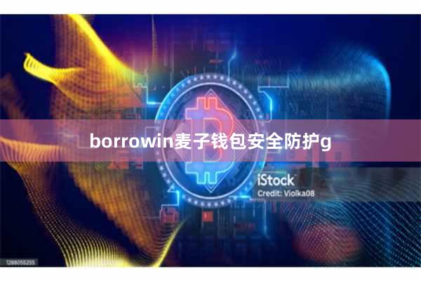 borrowin麦子钱包安全防护g