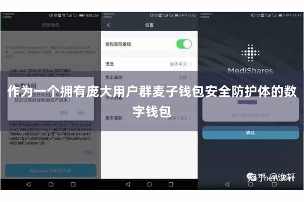 作为一个拥有庞大用户群麦子钱包安全防护体的数字钱包