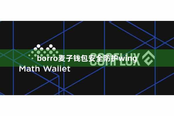 borro麦子钱包安全防护wing