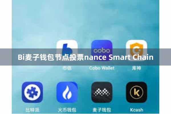 Bi麦子钱包节点投票nance Smart Chain