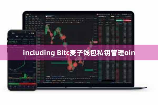 including Bitc麦子钱包私钥管理oin