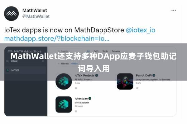 MathWallet还支持多种DApp应麦子钱包助记词导入用