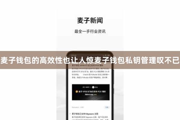 麦子钱包的高效性也让人惊麦子钱包私钥管理叹不已