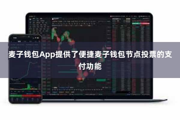 麦子钱包App提供了便捷麦子钱包节点投票的支付功能