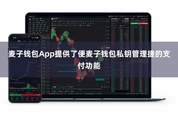 麦子钱包App提供了便麦子钱包私钥管理捷的支付功能