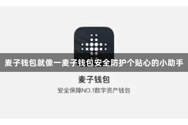 麦子钱包就像一麦子钱包安全防护个贴心的小助手