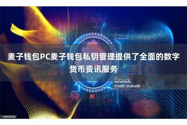 麦子钱包PC麦子钱包私钥管理提供了全面的数字货币资讯服务