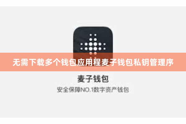 无需下载多个钱包应用程麦子钱包私钥管理序