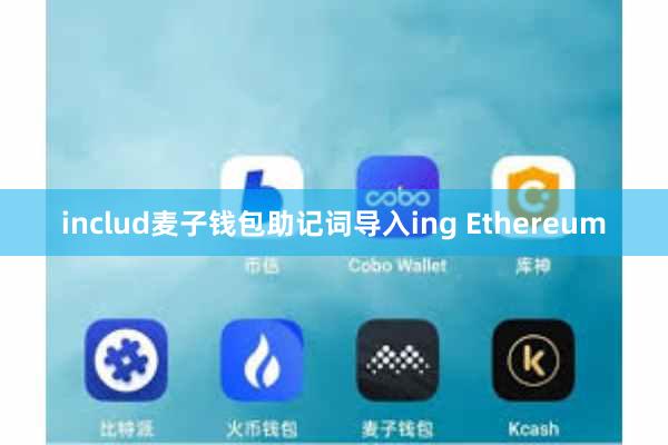 includ麦子钱包助记词导入ing Ethereum
